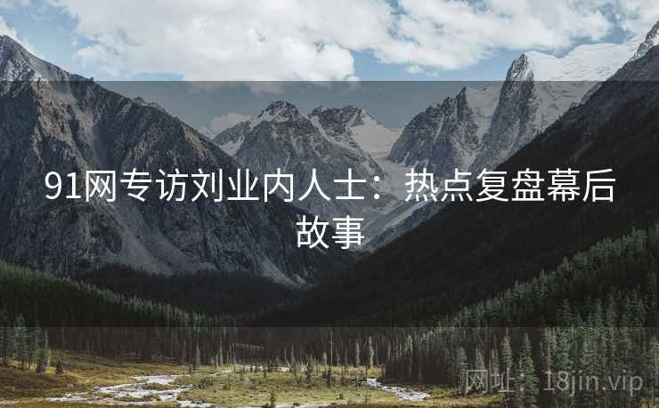 91网专访刘业内人士：热点复盘幕后故事