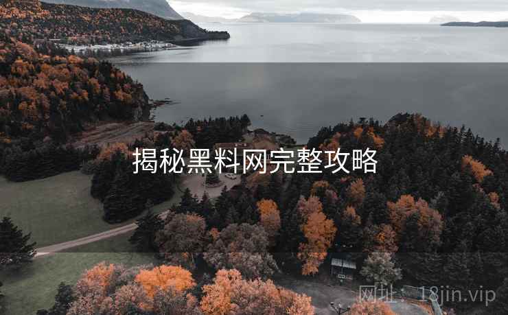 揭秘黑料网完整攻略
