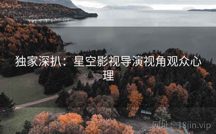 独家深扒：星空影视导演视角观众心理