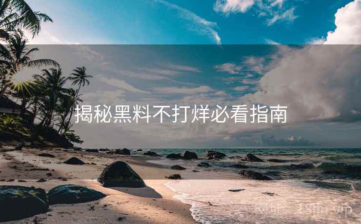揭秘黑料不打烊必看指南