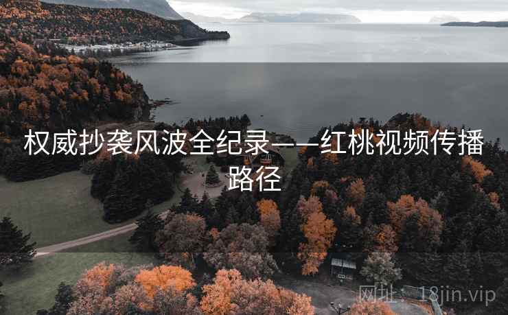 权威抄袭风波全纪录——红桃视频传播路径