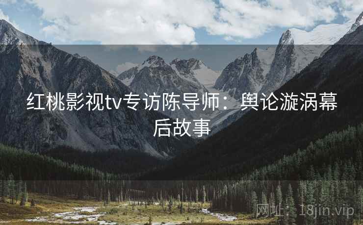 红桃影视tv专访陈导师：舆论漩涡幕后故事