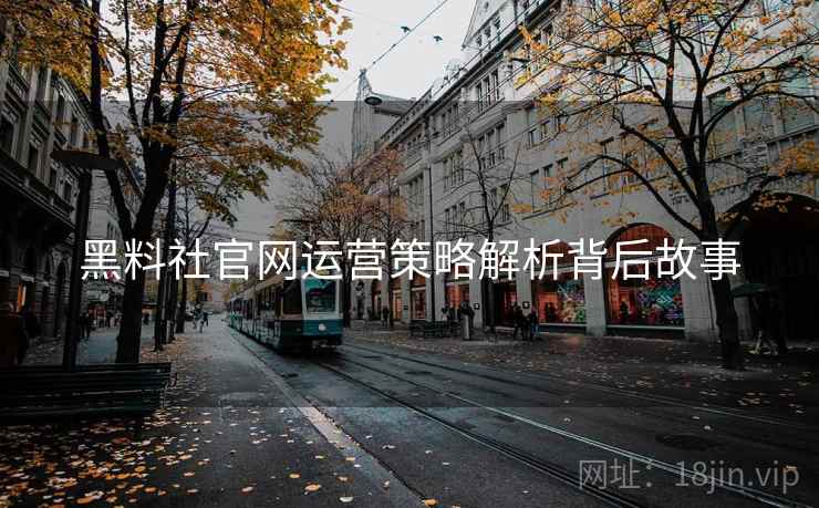 黑料社官网运营策略解析背后故事